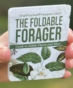 The Foldable Forager