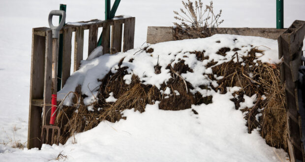 Composting in cold weather for the blooming spring “great gardens”