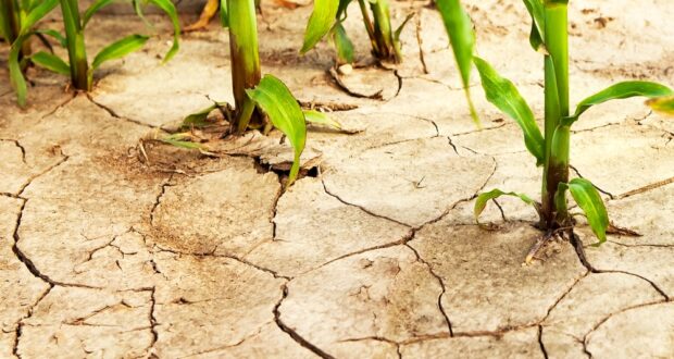 Dry crisis in 2025