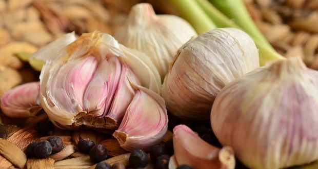 Secrets of planting garlic of autumn gardeners