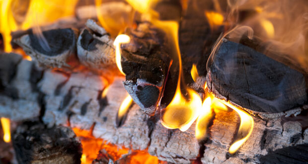 Transformation of wood ash into fertile resource outside the network