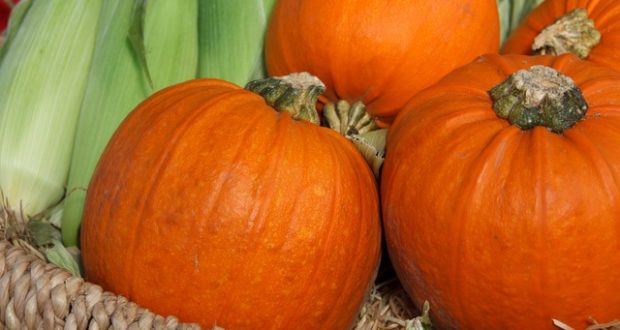 Unique ways to use fresh pumpkin this fall