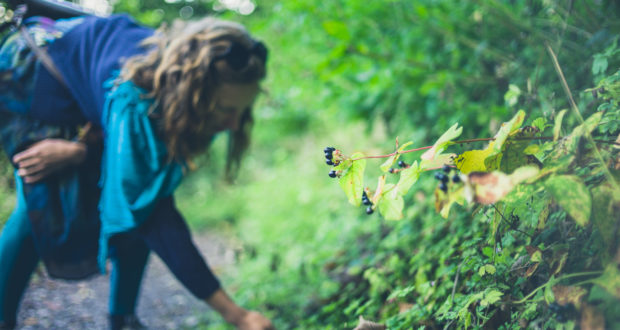 Wild Scrafting and Prodoing means great food and family fun