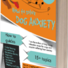 Music Designed for Dogs to Help with Anxiety Problems