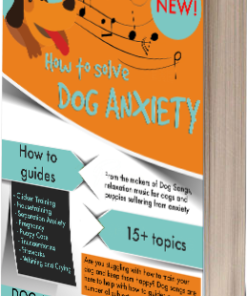 Music Designed for Dogs to Help with Anxiety Problems