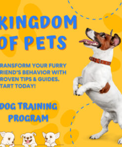 Secrets to Dog Training: Stop Your Dog’s Behavior Problems!