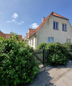 Home & Garden