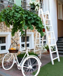 How-to & Home Improvements