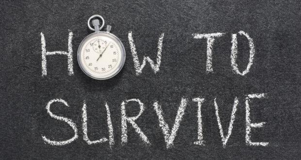The French government is preparing new … urgent … a survival guide for its citizens