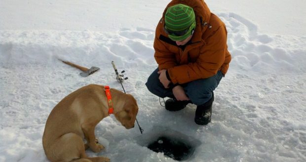 Survival Fishing Lod: 5 necessary tips